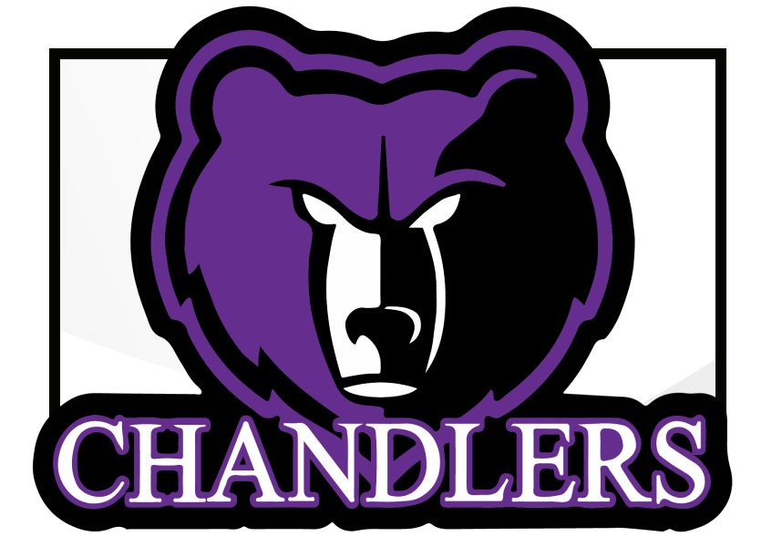 bear logo over a box with a black frame